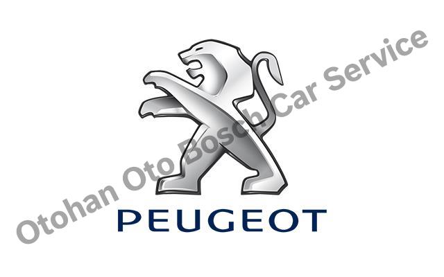 Sivas Peugeot Servisi